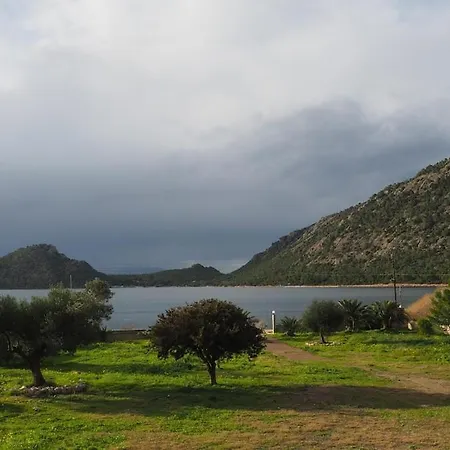 فيلة The Lakehouse